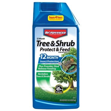 BioAdvanced 32oz 12 Month Tree & Shrub Protect & Feed II Concentrate (Keywords: Bayer )