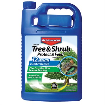 BioAdvanced 1gal 12 Month Tree & Shrub Protect & Feed (Keywords: Bayer )