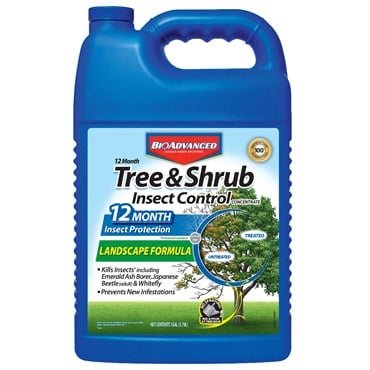 BioAdvanced 1gal 12 Month Tree & Shrub Insect Control II Concentrate (Keywords: Bayer )