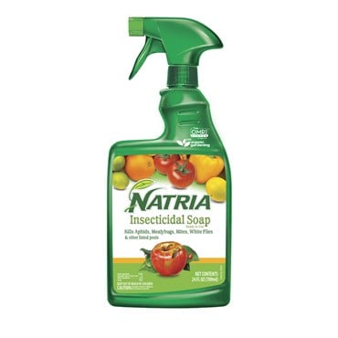 Natria 24oz Insecticidal Soap RTU (Keywords: Bayer )