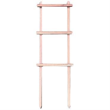 A&G 12"x22" Espalier Natural