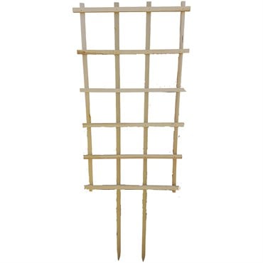 A&G 22"x40" Espalier