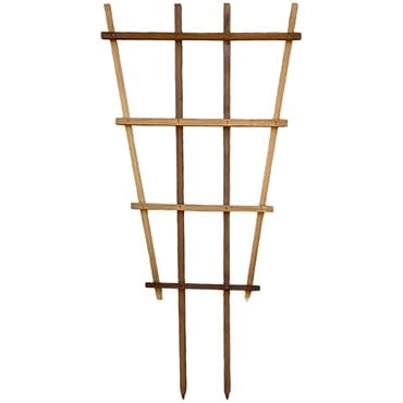 A&G 2'x4' Fan Espalier Trellis