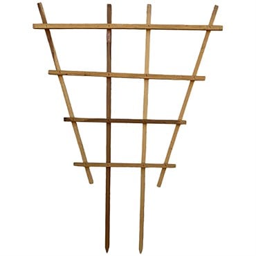 A&G 3'x4' Fan Espalier Trellis