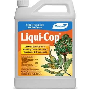 Monterey Gal Liqui Cop