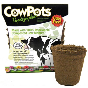 Summit Cow Pot