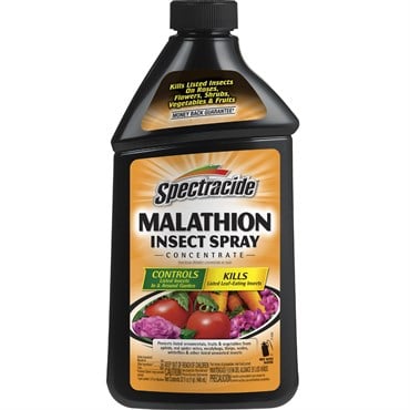 Spectracide 32oz Malathion Insecticide Concentrate
