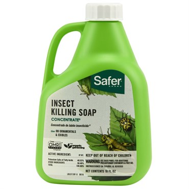Safer 16oz Flower & Gard Insect Soap Conc 6/CS