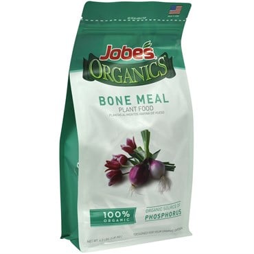 Jobes 4