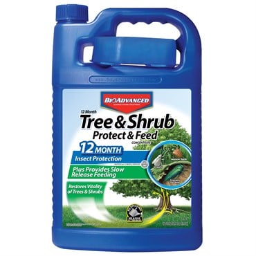 BioAdvanced 1gal 12 Month Tree & Shrub Protect & Feed Concentrate *OK for NY* (Keywords: Bayer )