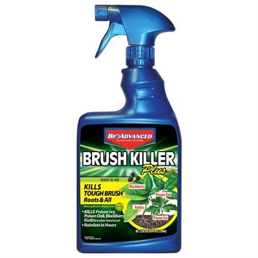 BioAdvanced 24oz Brush Killer Plus RTU (Keywords: Bayer )