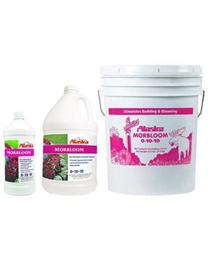 Alaska 5gal MorBloom Natural Concentrate 0-10-10