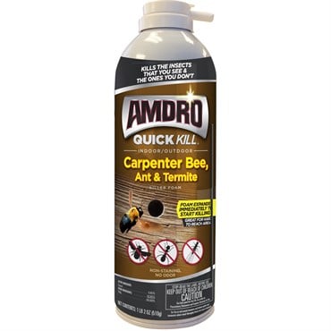 Amdro 18oz Quick Kill Carpenter Bee Foam