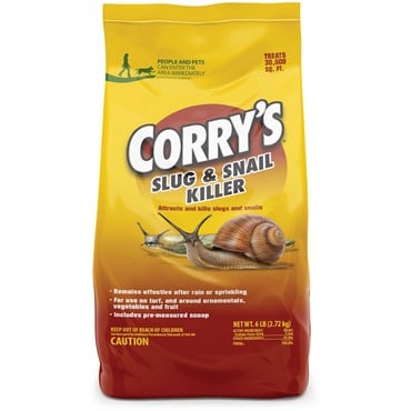 Corrys 6