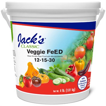 Jacks Classic 4