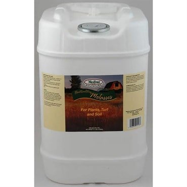 Medina 5gal Molasses
