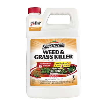 Spectracide 128oz Concentrate2 Weed & Grass Killer