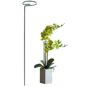 Gardener Select 2" Flower Support with 36" Leg Green