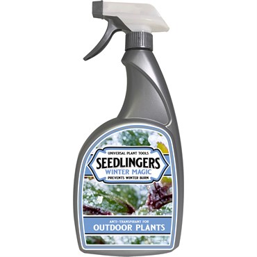Seedlingers 32oz Winter Magic Trigger Bottle Ready to Use