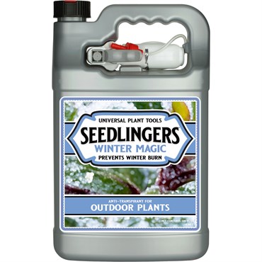 Seedlingers 1gal Winter Magic Ready to Use