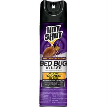 Hot Shot 17.5oz Bed Bug Killer Aerosol Spray