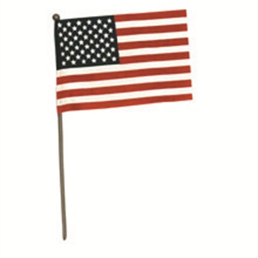 FlagZone 4"x6" US Hand Flag