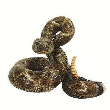 MCarr Western Diamond Back Snake Large