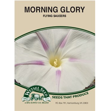 MORN GLORY-FLYING SAUC. 1.5 GM
