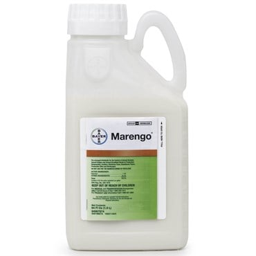 Bayer Envu Marengo SC .5Gl (4/CS) AGENCY