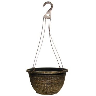 Grower Select 12.00 Boxwood Hanging Basket Mahogany with Hanger 50/CS