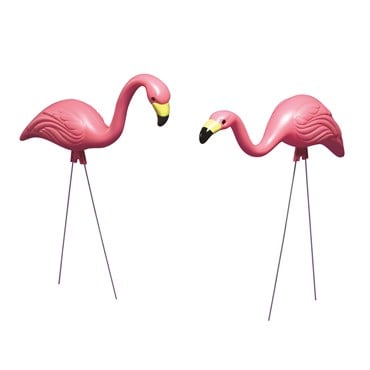 Bloem 2Pk Pink Flamingo