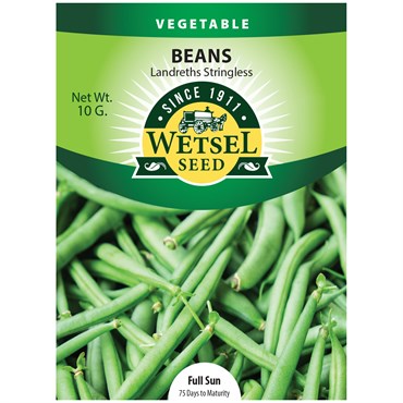 Beans, Burpee Stringless - 10 Gram