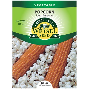 Popcorn, South American - 10 Gram