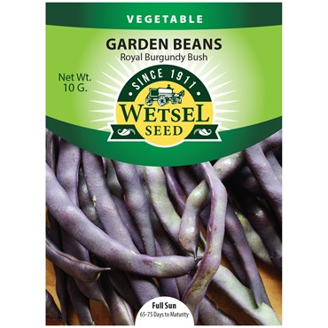 Beans, Royal Burgundy Bush - 10 Gram