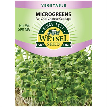 Microgreens, Pak Choi Chinese Cabbage - 590 Mg