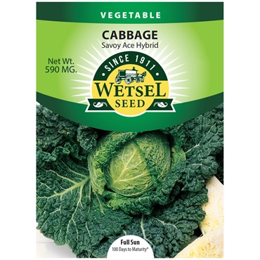 Cabbage, Savoy Ace Imp - 590 Mg