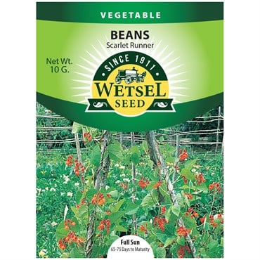Beans, Scarlet Runner Pole - 10 Gram