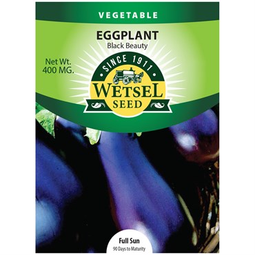 Eggplant, Black Beauty - 400 Mg