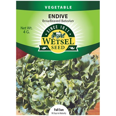 Endive, Broad Leaf Batavian 4g