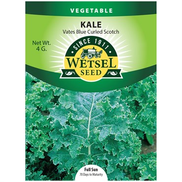 Kale, Vates Blue Curled Scotch - 4 grams