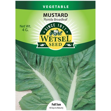 Mustard, Florida Broadleaf - 4 grams