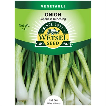 Onion, Japanese Bunching - 2 grams