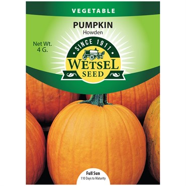 Pumpkin, Howden - 4 Gram