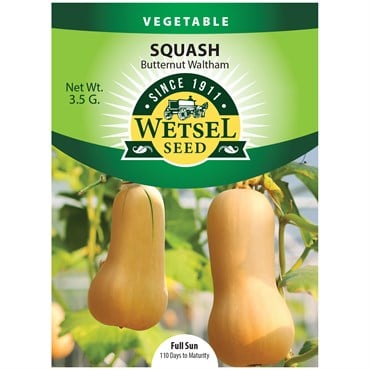 Squash, Butternut Waltham - 3.5 grams