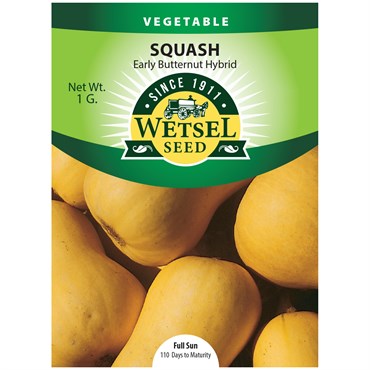Squash, Early Butternut Hybrid - 1 Gram