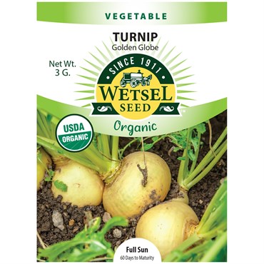 Organice, Golden Globe Turnip - 3 Gram