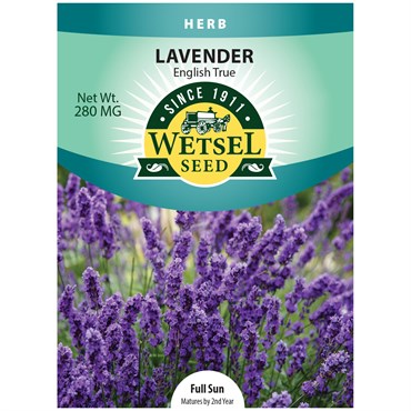 Lavender, English True 280mg