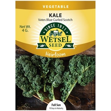 Heirloom, Vates Blue Curled Kale 4gram