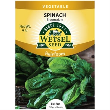 HEIRLOOM, BLOOMSDALE SPINACH 4 GRAM