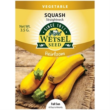 HEIRLOOM, SQUASH STRAIGHTNECK 3.5GM